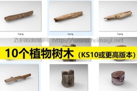 keyshot-0个植物树木（KS10或更高版本）-ksp打包下载