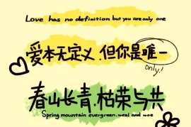 治愈与质感并存的高质量手机壁纸推荐，每一张都好看到爆