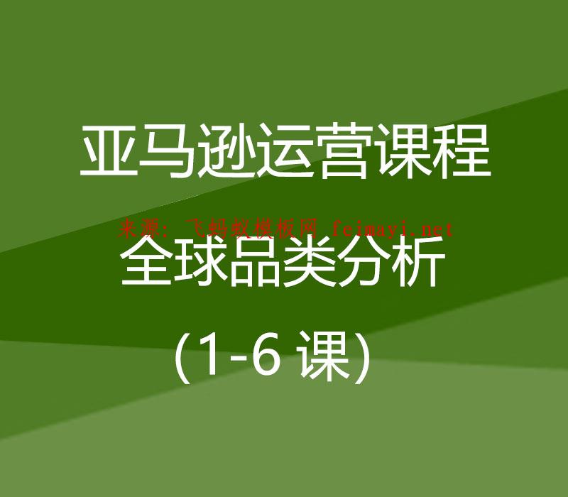 2021亚马逊运营课程Amazon：全球品类分析（1-6课） 