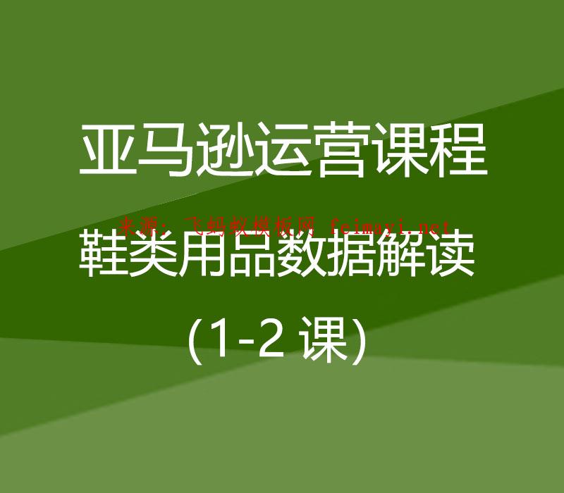 2021亚马逊运营课程Amazon：鞋类用品数据解读（1-2课） 