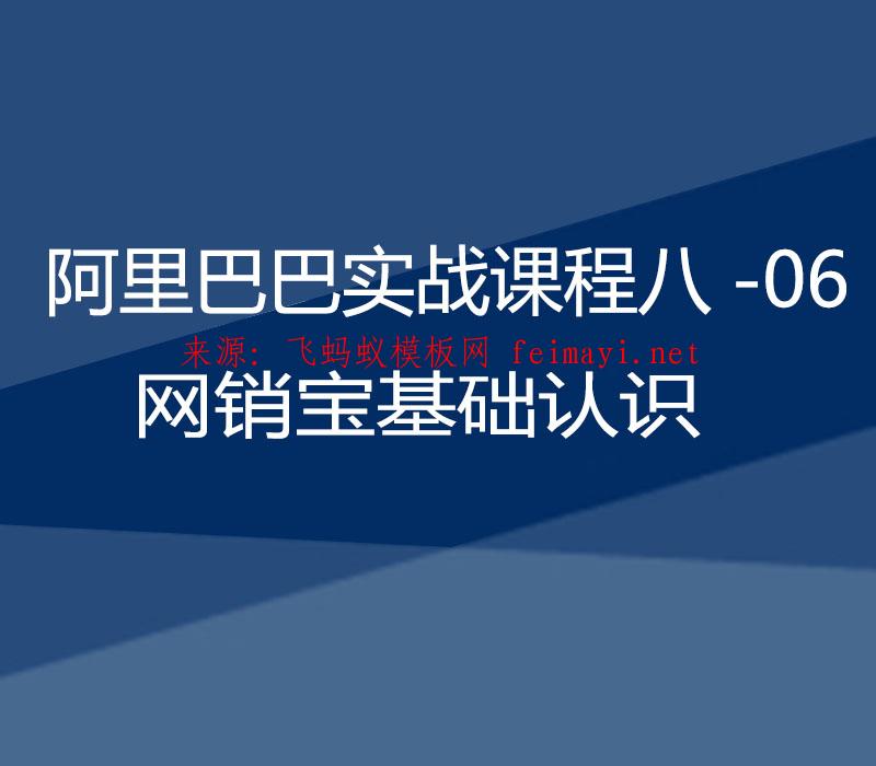 2021阿里巴巴实战课程八-06：网销宝基础认识  