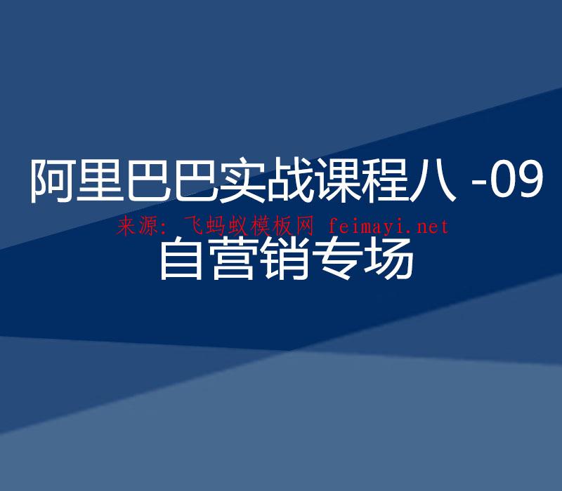 2021阿里巴巴实战课程八-09：自营销专场 