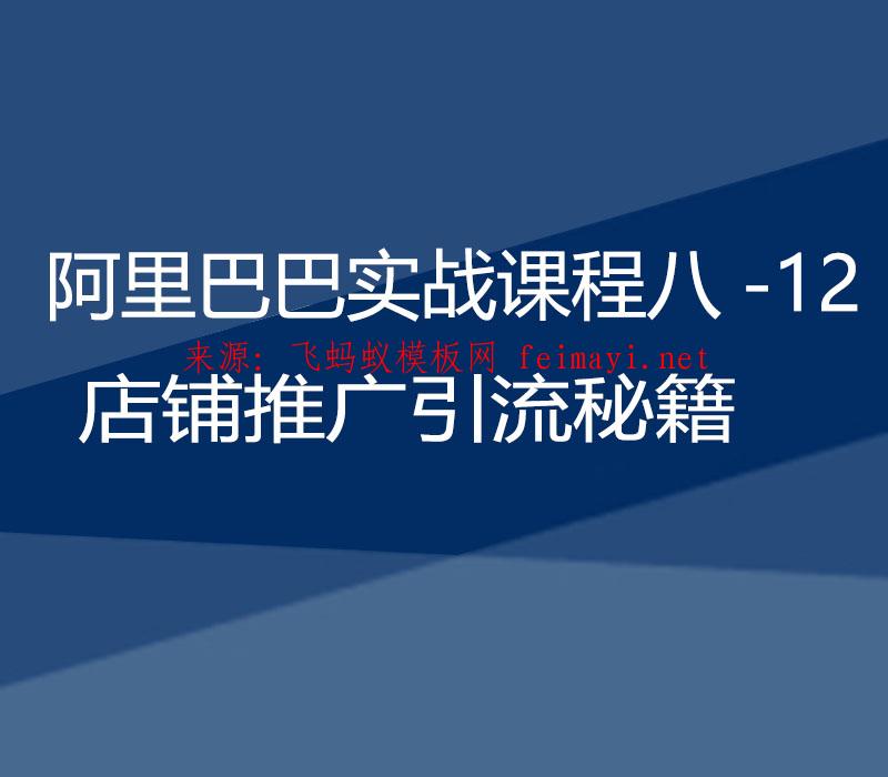 2021阿里巴巴实战课程八-12：店铺推广引流秘籍  