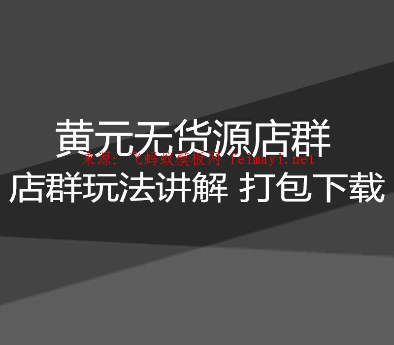 2021黄元无货源店群-第三章 店群玩法讲解 打包下载  