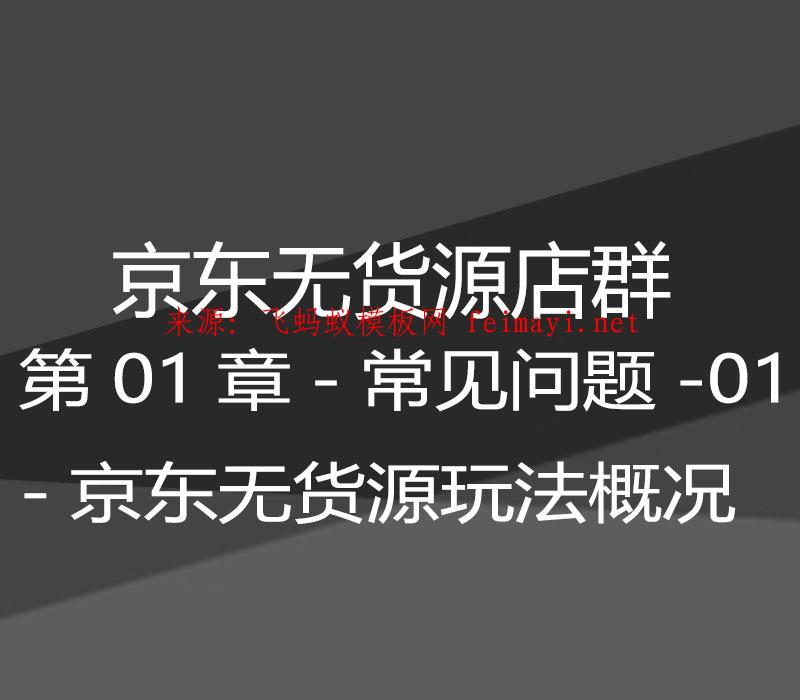 2021京东无货源店群-第01章-常见问题-01-京东无货源玩法概况  