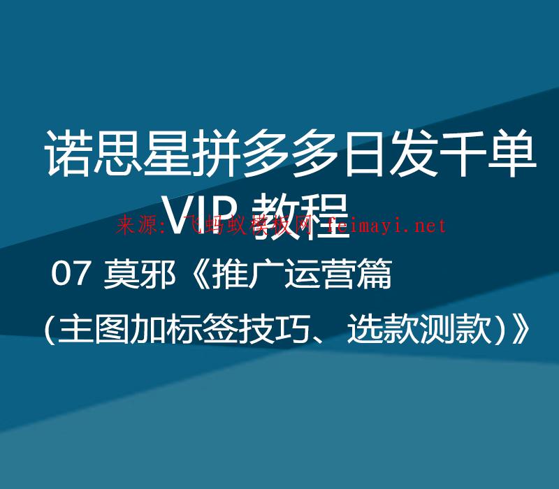 诺思星拼多多日发千单VIP教程 07 莫邪《推广运营篇（主图加标签技巧、选款测款）》