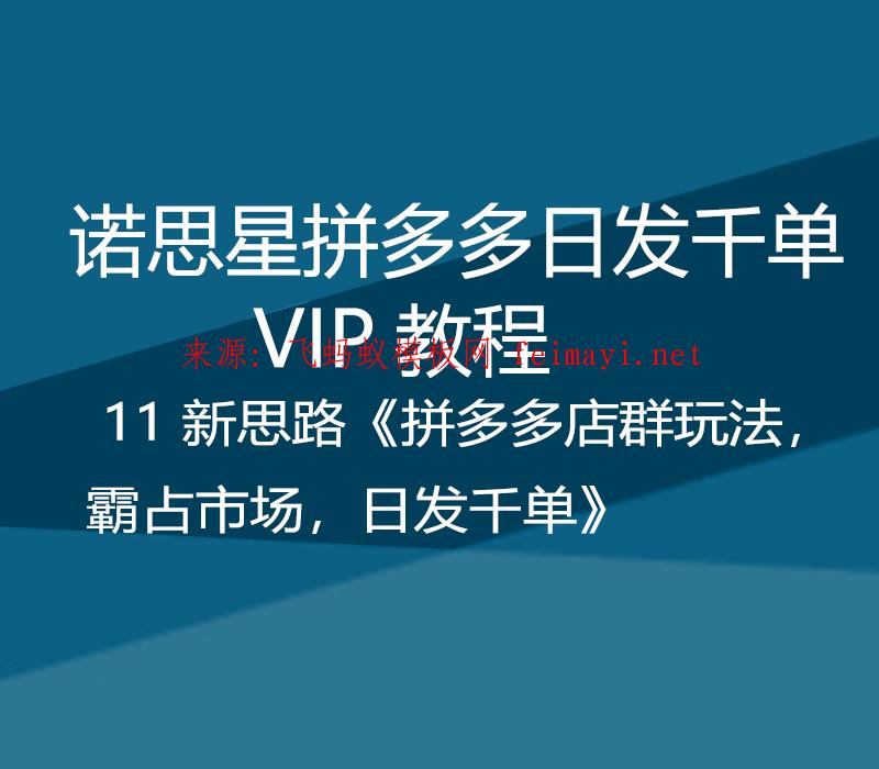 诺思星拼多多日发千单VIP教程 11 新思路《拼多多店群玩法，霸占市场，日发千单》 