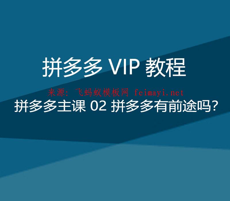 拼多多VIP教程 拼多多主课培训教程 02 拼多多有前途吗？ 