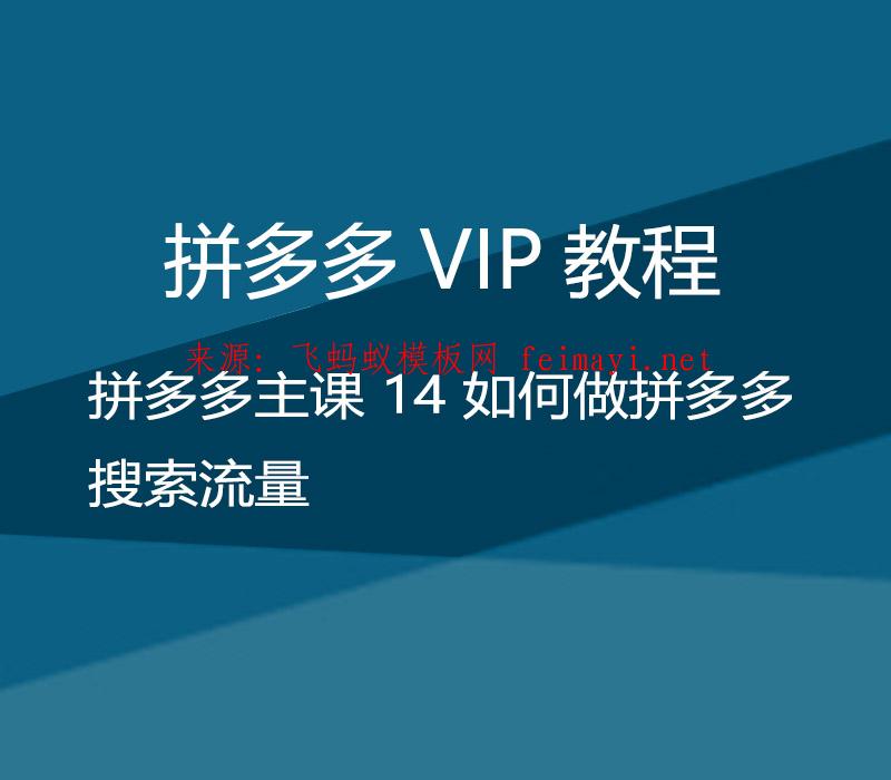 拼多多VIP教程 拼多多主课培训教程 14 如何做拼多多搜索流量 