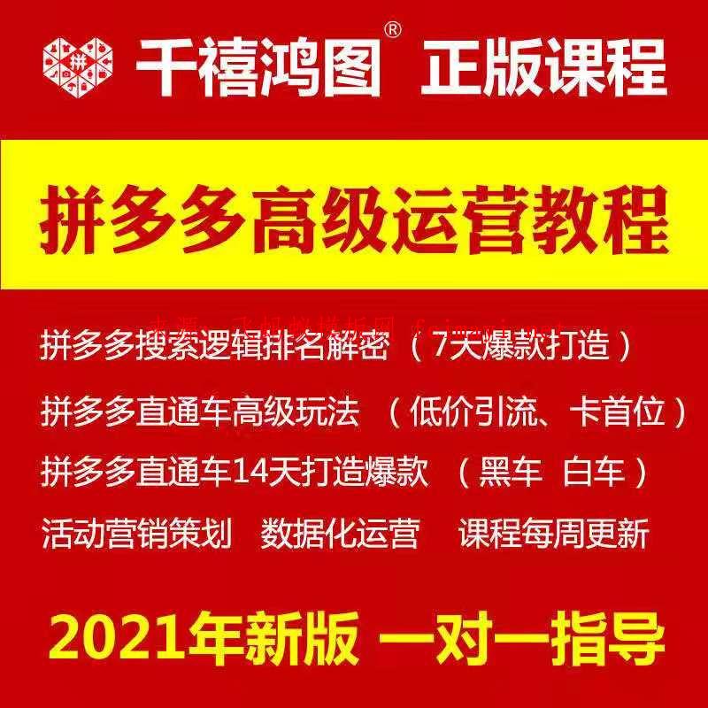 拼多多培训运营教程视频2021干货全套pdd高级拼店多多开店指导课程