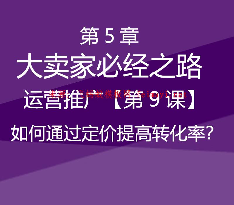 速卖通教程第5章-大卖家必经之路--运营推广【第9课】如何通过定价提高转化率？ 