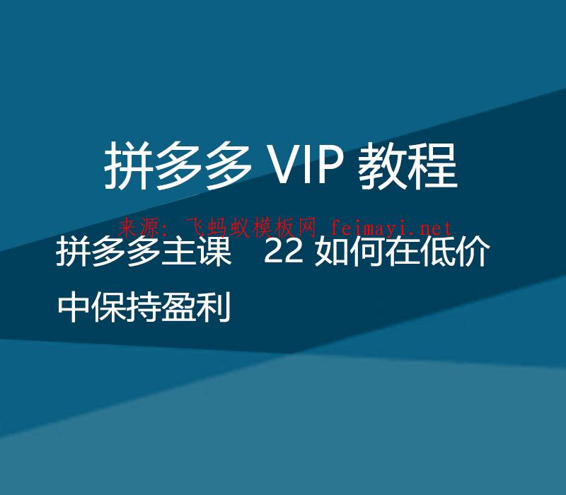 拼多多VIP教程 拼多多主课 22 如何在低价中保持盈利 