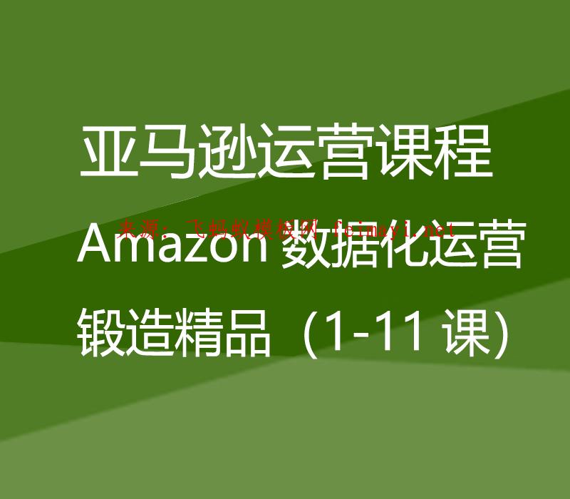 视频教程亚马逊运营课程Amazon：Amazon数据化运营锻造精品（1-11课）