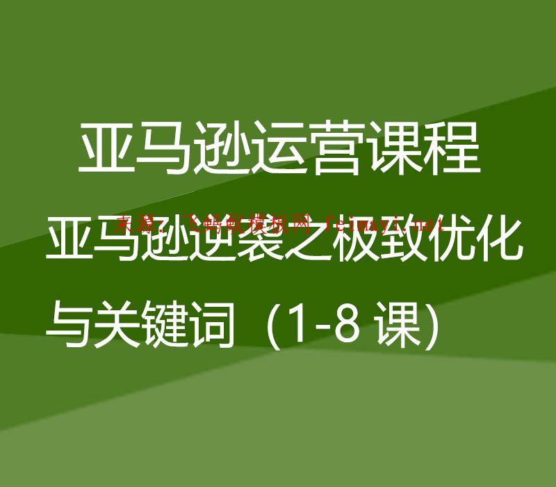  亚马逊运营课程Amazon：亚马逊逆袭之极致优化与关键词（1-8课） 