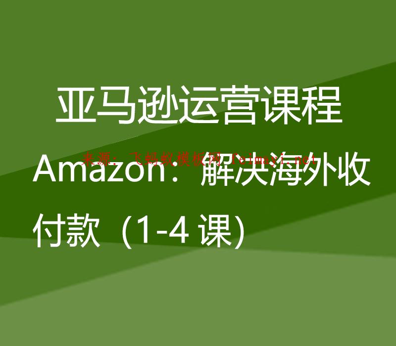  亚马逊运营课程Amazon：解决海外收付款（1-4课） 