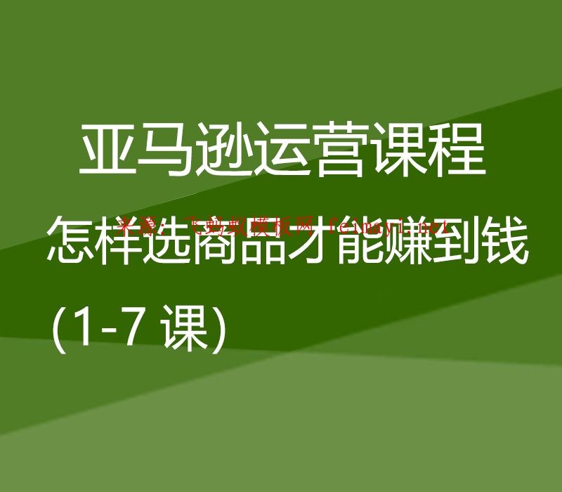  亚马逊运营课程Amazon：怎样选商品才能赚到钱（1-7课） 