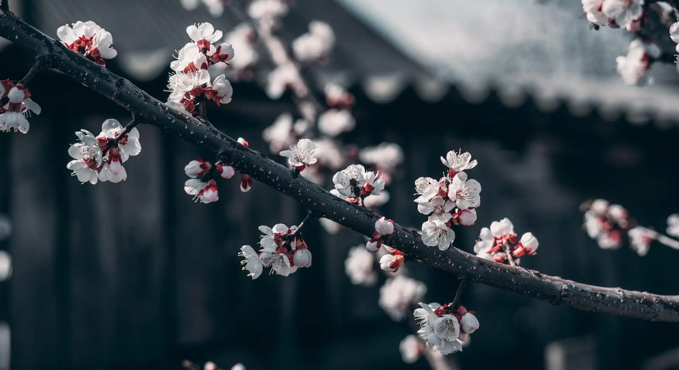 QQ20260124-215359.png